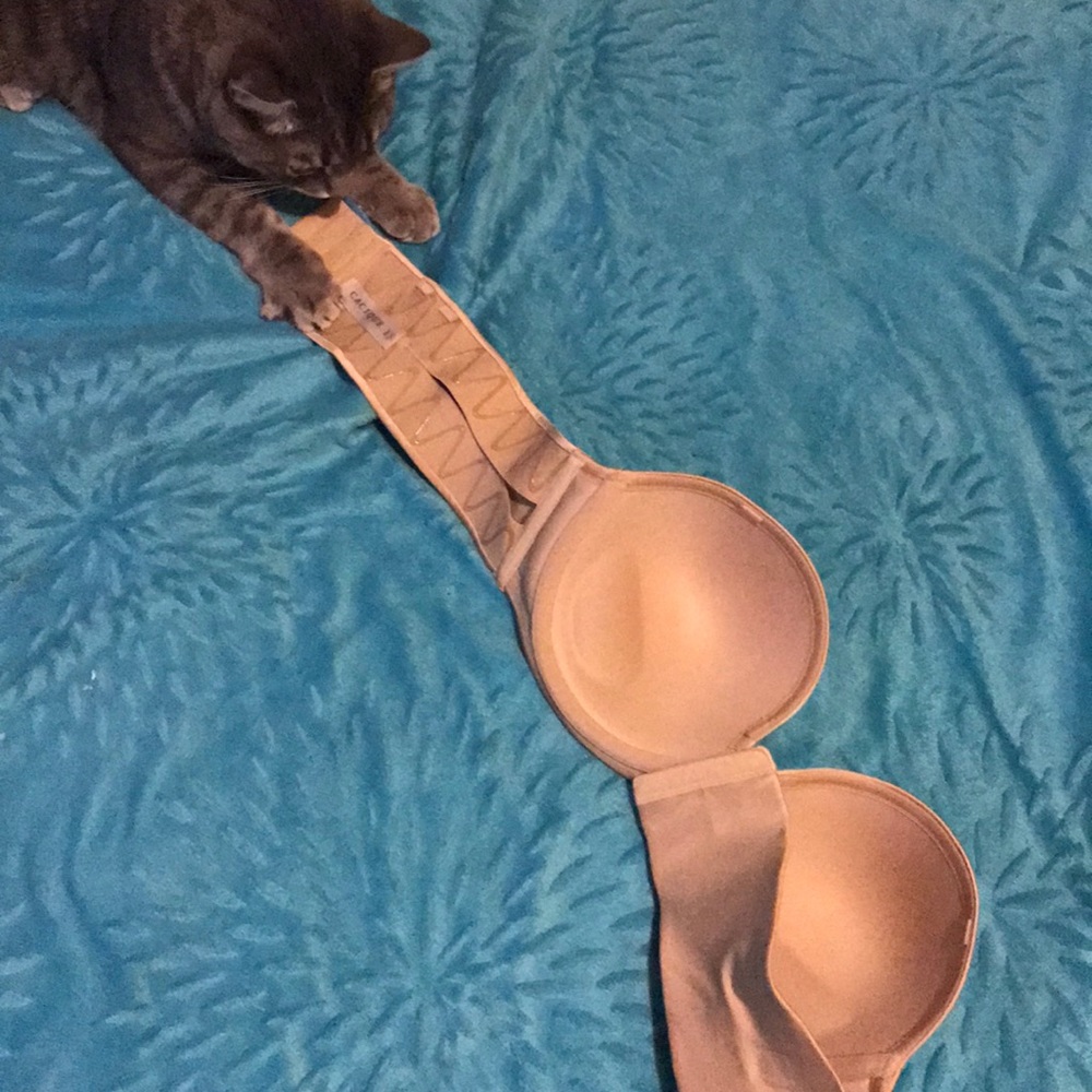 Bra - Picture 3 of 3